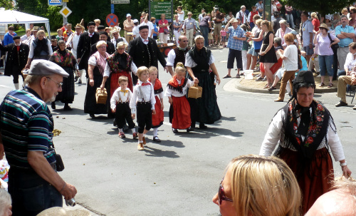 2013_Festzug_Schlitz_002