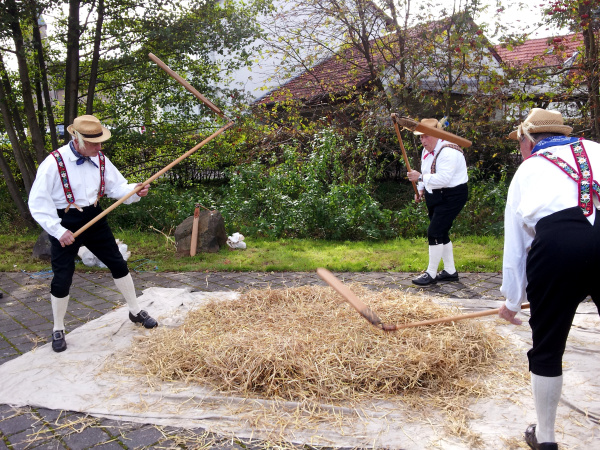 Tag der Regionen_Mittelkalbach_2014_Dreschergruppe_HVO 2