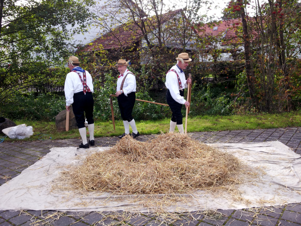 Tag der Regionen_Mittelkalbach_2014_Dreschergruppe_HVO 3