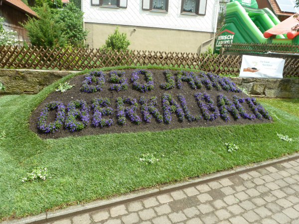 Stehender Festzug_001