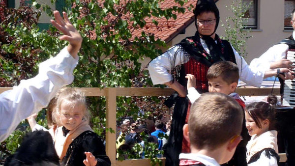 Stehender Festzug_040