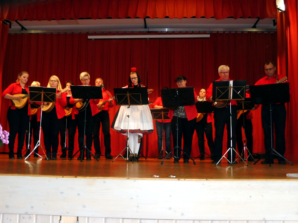 2018_Mandolinengruppe_Seigertshausen-1