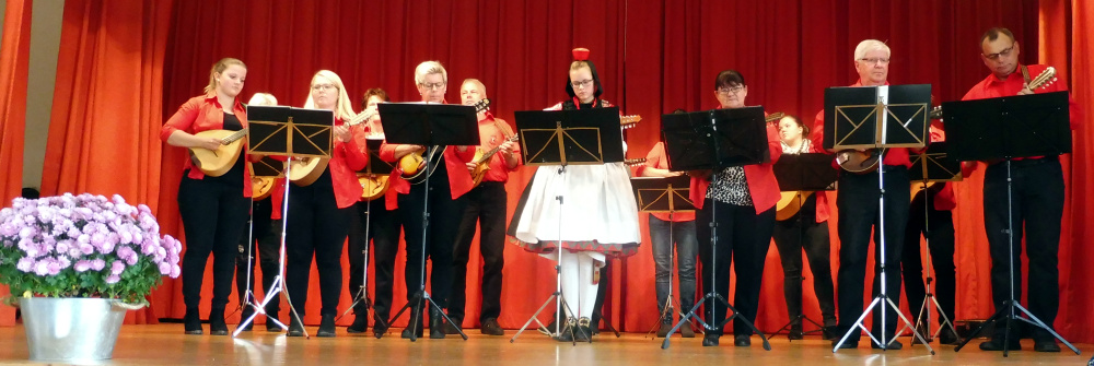 2018_Mandolinengruppe_Seigertshausen-3