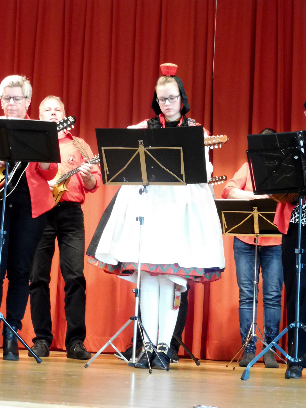 2018_Mandolinengruppe_Seigertshausen-4