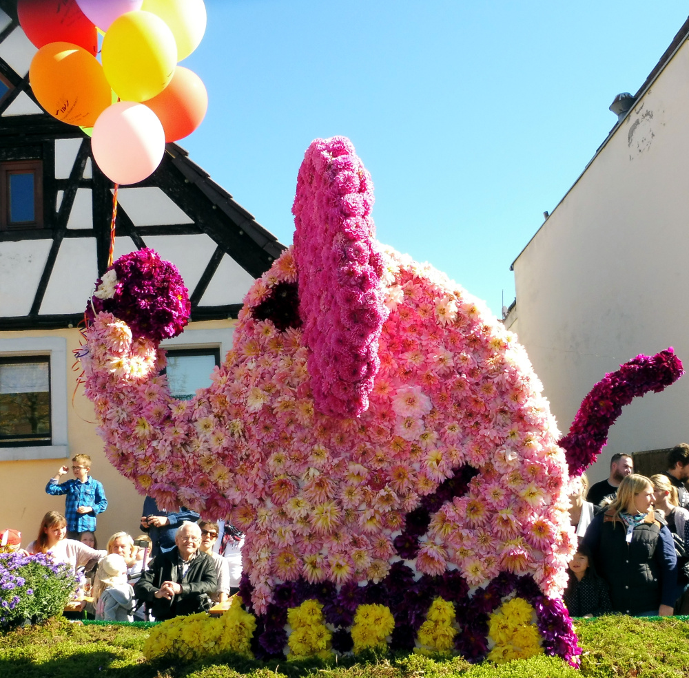 Gochsheim_2018_30.09-15