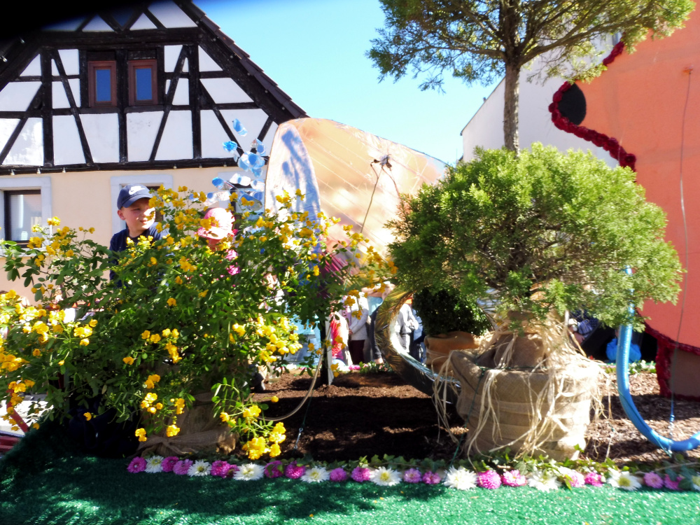 Gochsheim_2018_30.09-23
